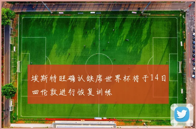 埃斯特旺确认缺席世界杯将于14日回伦敦进行恢复训练